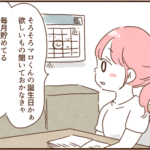 モラ夫が誕生日に欲しい物