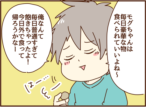 かおここ213