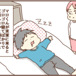 お正月、帰省すると言ったら夫は・・・
