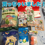 ２０１９年ラスト！ご挨拶です♪