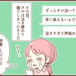 次の日、モラ夫は面会に来なかった