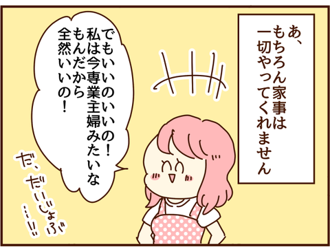 家事はやりません'