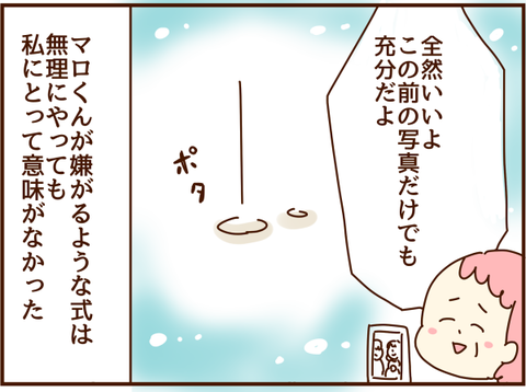 写真だけで