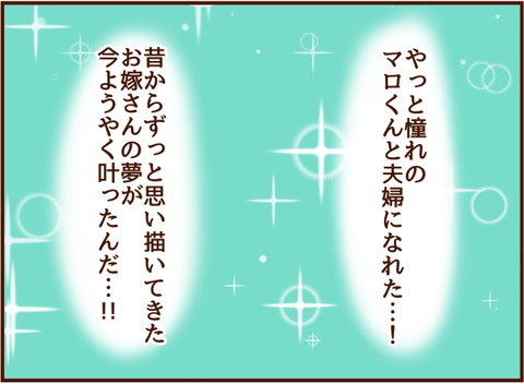 ようやくかなった