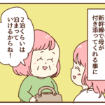 母に付き添ってもらい新幹線で自宅へ！待ち合わせ場所に着いたけど夫は・・・