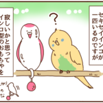 インコを見てふと頭をよぎること