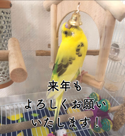 よろしく
